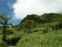 Am Vulkan von Martinique